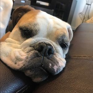 Meet your Posher, Jesse